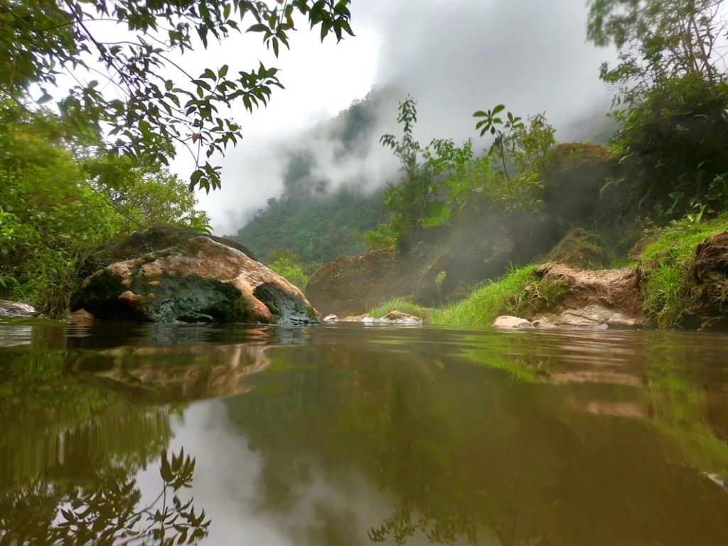 TERMALES