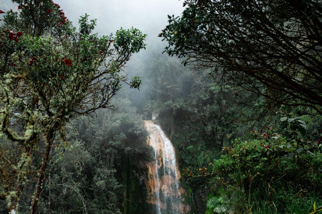 Termales-del-Ruiz-Septiembre-65-1