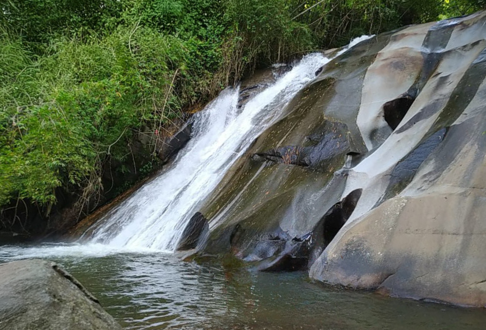 pasadía-FRESNO-AGROTURISTICA-2026