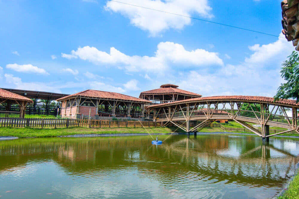 parque_arriero_01