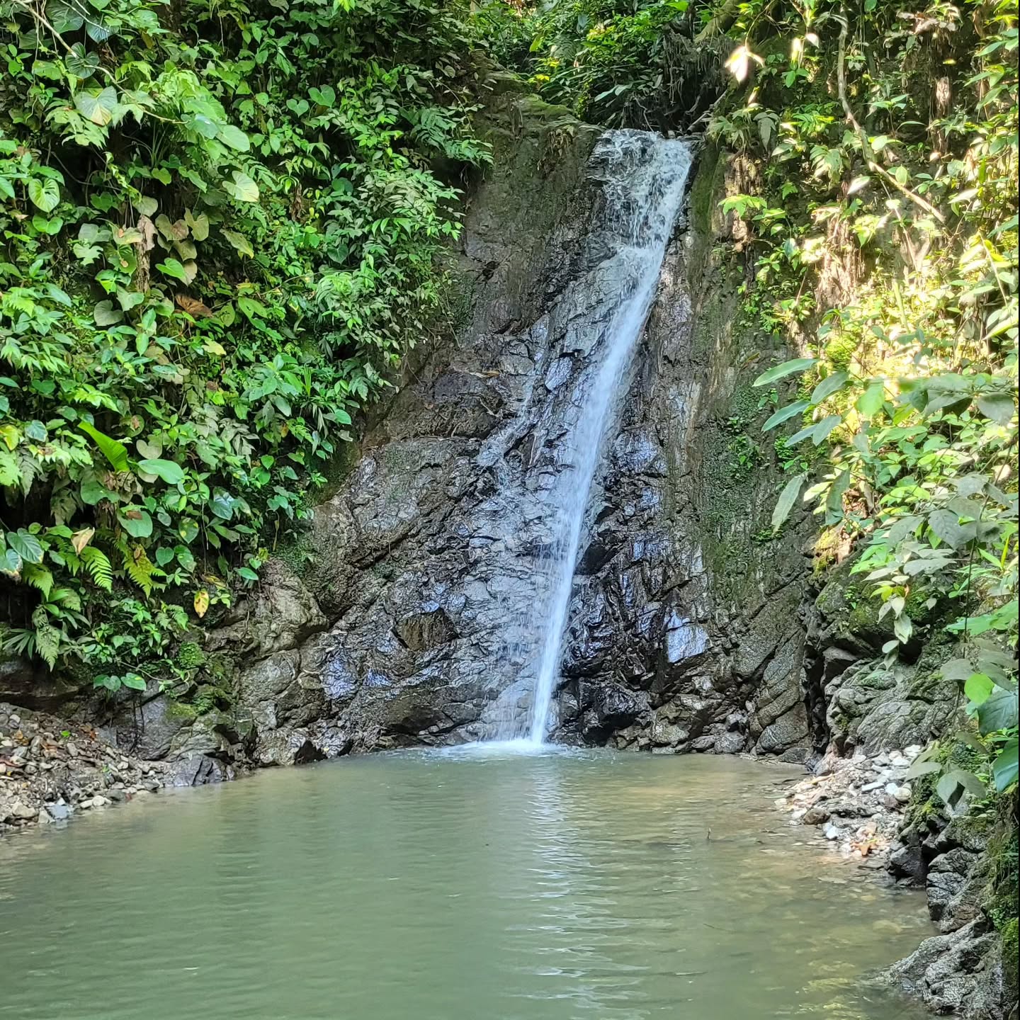 reserva_natural_entreaguas